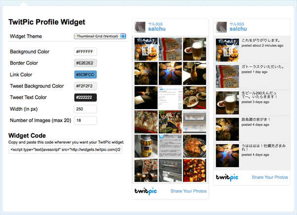 Twitpicの Profile Widget
