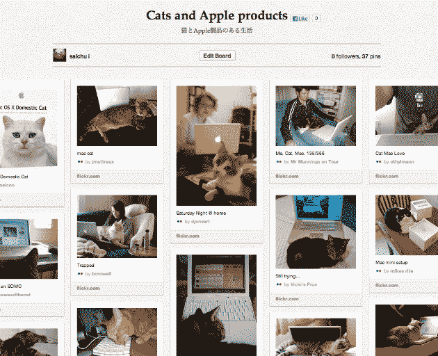Pinterest - Cats and Apple products