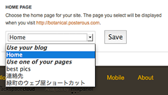 posterous settings - Homepage（クリックで拡大）